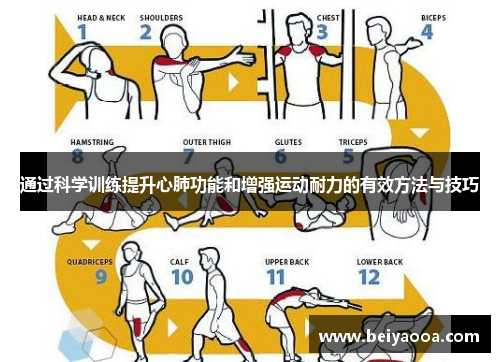 通过科学训练提升心肺功能和增强运动耐力的有效方法与技巧